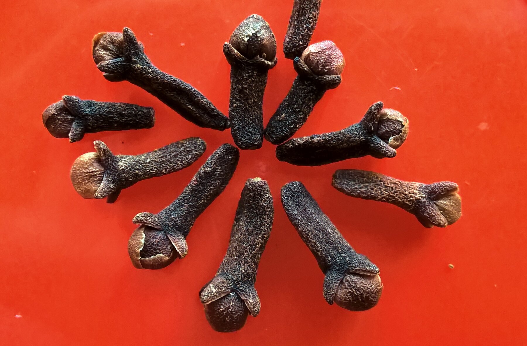 Macro view of whole dried cloves showing their rounded unopened buds and dark stems